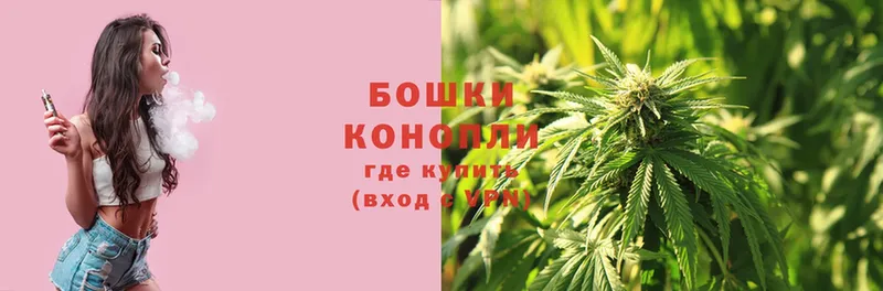 Каннабис OG Kush  MEGA рабочий сайт  Ардон 